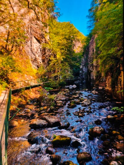 A vibrant, slightly oversaturated photograph captures a river flowing through a rocky gorge, likely in a mountain setting. The river is filled with large, moss-covered rocks, and the water rushes swiftly between them. The banks of the river rise into steep cliffs covered with lush green vegetation and trees. A wooden walkway with green metal railings extends along the left side of the image, providing a path along the river. The sky visible above is a clear blue. Given the location, the scene is likely part of the Eco path "Struilitsa – Vodopada" near Devin, Bulgaria.