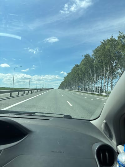 The image shows a view from the driver's seat of a car traveling on a highway in Novomusino, Russia. The highway is paved and has multiple lanes. The car is moving forward, with the road stretching out into the distance. On the right side of the road, there is a line of tall, slender trees. On the left side, there is a metal guardrail and some greenery. The sky is blue with scattered white clouds. The dashboard of the car is visible in the foreground, with some of its components slightly blurred due to motion. There are no visible people in the image besides the inferred driver.