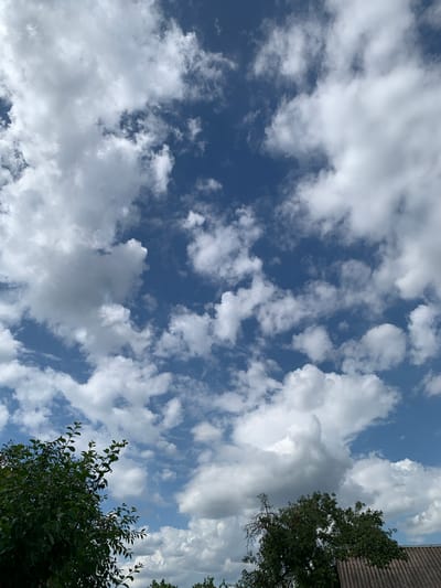 This is a low-angle, vertical, outdoor shot of a blue sky filled with scattered white and grey clouds. The clouds vary in density, with some appearing wispy and others more substantial. The blue sky is visible in the gaps between the clouds. In the upper right corner of the frame, a portion of a grey, tiled roof is visible. A tree with green foliage occupies the bottom right and right edges of the image, its branches reaching upwards into the sky. The scene suggests a daytime setting, likely with partly cloudy weather, possibly in a rural or suburban area given the presence of the roof and tree. There is no text visible in the image.