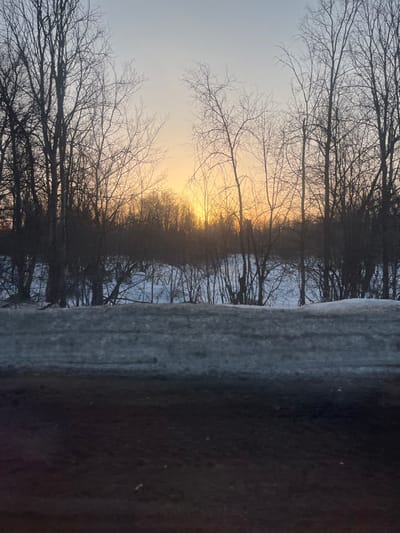 The image depicts a winter landscape in Selychka, Russia, observed during a sunrise or sunset event. The foreground consists of a dark, uneven ground surface, possibly dirt or a road. Immediately above this, a distinct horizontal accumulation of dirty, greyish, compacted snow forms a bank or mound. Beyond this snowbank, the terrain is covered with a layer of white snow, from which numerous small, bare deciduous trees and bushes emerge. The mid-ground and background are dominated by a dense, unbroken line of mature, bare deciduous trees, interspersed with some evergreens, forming a dark silhouette against the sky. The sky transitions from a light blue-grey at the top to a prominent orange-yellow glow near the horizon, indicating the position of the sun, which is obscured behind the distant treeline, slightly to the left of the image center. There are no individuals, animals, or man-made structures visible within the scene.