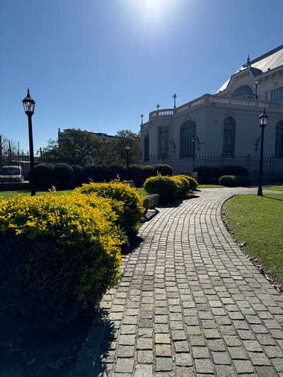 The image depicts a sunny day in Tigre, Argentina. A curved cobblestone pathway runs through a manicured garden. Low-lying, rounded bushes are planted along the path, some with yellow foliage. A white, ornate building with multiple arched windows is visible in the background, partially obscured by trees and lampposts. The clear blue sky is visible above. There are no people in the image.