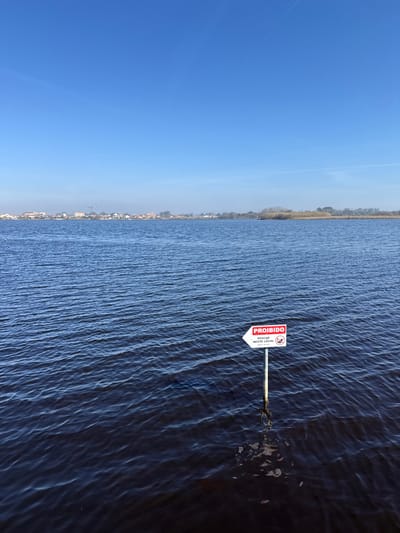 The image captures a broad expanse of water in Praia de Mira, Portugal, under a clear, bright blue sky. A white, arrow-shaped sign with a red border and red text reading "PROIBIDO" (Forbidden) at the top, followed by "PESCAR NESTE LOCAL" (Fish in this place) in black, is positioned in the lower right quadrant, emerging from the water. A red circular prohibition symbol over a fish icon is present on the sign. The metallic pole supporting the sign is partially submerged, with the water level reaching approximately halfway up.
The water, which occupies the majority of the image, is dark blue-grey with a visibly rippled surface, indicating gentle movement. In the far distance, across the horizon line, a low-rise settlement with various buildings and visible roofs, some featuring construction cranes, is situated on the left side of the distant landmass. To the right of the settlement, the shoreline transitions to dense natural vegetation, appearing as light brown or green reeds and grasses. The sky above is devoid of clouds, presenting a uniform vivid blue, with two faint, thin white contrails visible—one diagonally in the upper left and another horizontally across the upper right. No individuals, animals, or active watercraft are present in the scene.