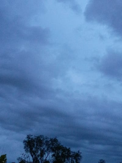 The image is a photograph of a cloudy sky. The clouds are a dark blue-gray color, suggesting that it is either dusk or dawn, or that there is a storm approaching. There are also some trees visible in the upper right and bottom right corners of the image. The trees are silhouetted against the sky, and their branches are bare. The overall mood of the image is somewhat somber and peaceful. There is no text visible in the image. The location is Lexington, United States of America.