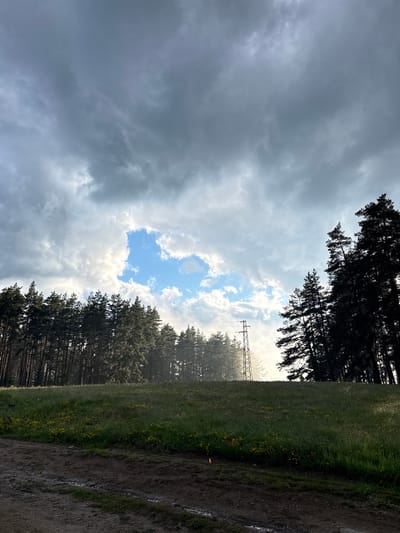 This vertical, eye-level, full outdoor shot captures a landscape on a cloudy day in Yundola, Bulgaria. The foreground features a dirt path with puddles of water and some scattered green vegetation. The middle ground is dominated by a grassy hillside dotted with small yellow wildflowers. A dense line of dark green pine trees stretches across the background, with a few trees silhouetted against the sky on the right. In the distance, a tall metal power line pylon stands with a hazy light emanating from behind it, suggesting it is either sunrise or sunset. A patch of bright blue sky is visible through a gap in the heavy, gray clouds.