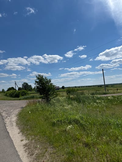 The image depicts a rural landscape under a bright blue sky with scattered white clouds. In the foreground, a dirt road curves to the left, meeting a paved road on the far left. A patch of tall green grass and wildflowers borders the dirt road. Further into the scene, a medium-sized deciduous tree stands prominently in the middle ground. Behind it, a small, dark-colored building with a gable roof is visible. A utility pole with wires stretches across the upper right portion of the image. The background consists of a flat, green expanse of fields and scattered trees, extending to the horizon. The scene appears to be located in the vicinity of Dovhe, Ukraine, given the context of the question. No people or animals are present in the image.