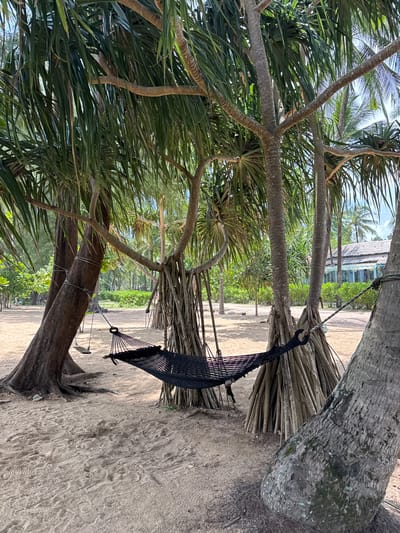 A black hammock is strung between trees on a sandy beach in Ban Khuk Khak, Thailand. The hammock is situated in the foreground, with its mesh weave clearly visible. Behind the hammock, several trees with thick, gnarled trunks and long, spiky leaves are prominent. The ground is covered in light-colored sand, with some scattered debris and footprints. In the background, lush green vegetation and palm trees stretch towards a building with a thatched roof and a light-colored facade. The sky is partially visible and appears to be overcast with patches of blue. A small swing hangs from one of the trees to the left of the hammock.
