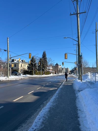 This is an outdoor urban scene on University Avenue in Kingston, Ontario, Canada, looking north towards Queen's University campus, specifically near the intersection with Earl Street. The environment is a sunny winter day, characterized by a clear blue sky and snow covering the ground, sidewalks, and road shoulders.

The multi-lane asphalt road appears dark and potentially wet or icy in areas, with visible white dashed lane markings. Utility poles with numerous overhead power lines and communication cables line both sides of the street. Multiple streetlights are present. Traffic lights at the immediate intersection are displaying yellow, while traffic lights further down University Avenue are green. A blue pedestrian signal box is mounted on a utility pole on the right side.

On the left, a large, light-colored, multi-story building with a pitched roof and dormer windows is visible behind bare deciduous trees. A dark-colored pickup truck is parked facing away from the camera on the left side of the street, partially obscured by snow. Further north, institutional or university buildings, including a prominent stone structure with a tower-like feature, are discernible in the distance. The right side of the street features a concrete sidewalk, with significant snowbanks to its right, and a chain-link fence partially visible beyond the snow.

One individual, dressed in a dark coat and dark pants, stands on the right-hand sidewalk at the edge of the street, facing away from the camera, positioned as if waiting. Two additional, small figures are faintly visible much further down the left sidewalk.