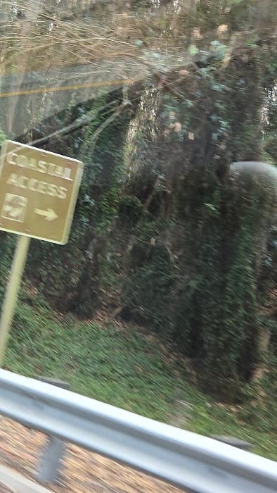 A tilted, close-up perspective from inside a vehicle looking out the window. The view captures lush green grass and foliage. A "Coastal Access" sign with an upward-pointing arrow is visible on the left. Reflections from the window cause some distortion. A portion of the car's frame can be seen at the top right.