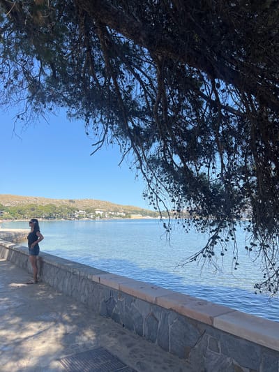 A woman stands on a stone-lined promenade overlooking a tranquil bay. She is wearing a dark patterned top and denim shorts, with a flower tucked behind her ear. The clear turquoise water stretches to a distant shoreline dotted with buildings and lush green hills. The scene is framed by the dark, shadowy branches of a pine tree, its cones hanging down. The sky is a bright, cloudless blue. The location is the Port de Pollença, Mallorca, Spain.