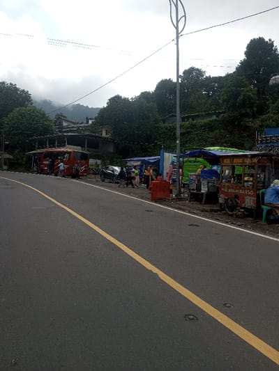 A roadside scene features a yellow line dividing the asphalt road. Food stalls line the side of the road, with people milling around. Behind the stalls, there is lush green vegetation and buildings nestled into the hillside. Overhead, a cloudy sky hangs above. A tall light pole with leaf-shaped accents stands near the edge of the road.