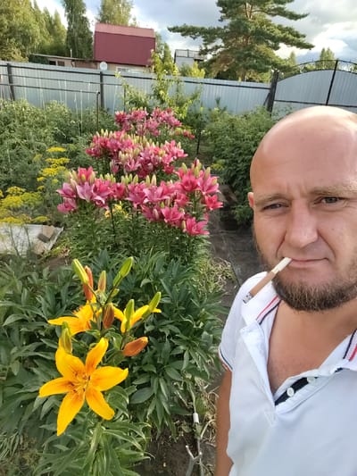 An outdoor, eye-level, medium shot captures a bald, Caucasian man in his late 30s or early 40s posing in a garden. He has a full, light brown beard and is wearing a white polo shirt with red and blue trim on the collar. He holds a lit cigarette in his mouth. Behind him, a garden is filled with pink and yellow lilies and other greenery. A metal fence runs along the background, with a red-roofed building visible beyond it. The scene is set in the city of Petropavl City Administration, Kazakhstan.