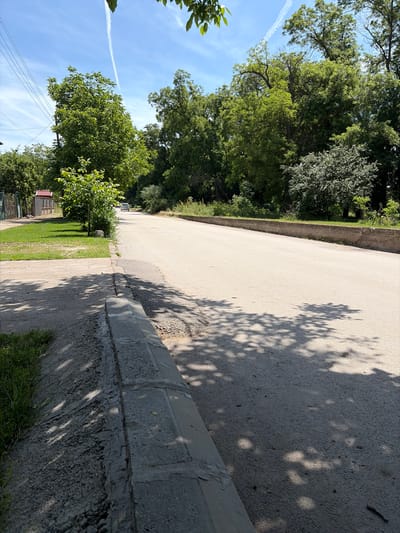 The image, rotated 90 degrees clockwise from its natural orientation, depicts a serene outdoor scene along a tree-lined road or path under a bright, clear sky. The perspective looks down the length of the road, which appears to curve gently to the left in the distance.
On the left side of the road, a continuous dense line of verdant trees forms a natural canopy, with their vibrant green foliage occupying a significant portion of the upper half of the image. The sky, a brilliant blue, shows a distinct white contrail stretching across it, indicating recent air traffic. Towards the foreground on the left, more green leaves and a smaller, bushy tree are visible, along with faint power lines. In the background, partially obscured by trees, there's a hint of a building with a reddish roof.
The road itself is a light-colored surface, likely asphalt or concrete, brightly illuminated by the sun. Numerous intricate, dappled shadows from the overhead trees are cast across the road and the adjacent ground, suggesting strong sunlight, likely during the mid-morning or afternoon.
On the right side of the road, a robust concrete curb or low wall separates the paved area from a strip of green grass and further greenery. The concrete appears weathered and textured. More trees line this right side of the scene, contributing to the shadows on the ground and the curb.
There are no people, animals, or specific activities visible, conveying a sense of peace and quiet. The scene is devoid of any visible text. The overall impression is one of a tranquil, natural environment, possibly a residential street or park pathway in Byala Slatina, Bulgaria.