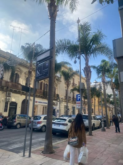 The image displays an urban street scene on Via Cairoli in Brindisi, Italy, under a partially cloudy sky. The perspective is from a sidewalk, looking down the street. In the foreground, a woman, viewed from behind, walks away from the camera, carrying two white shopping bags in her left hand and a shoulder bag across her body. She wears a brown jacket and white trousers.
The street is lined with numerous tall palm trees. A black street sign affixed to a palm tree on the left identifies the street as "Via Cairoli" and advertises "N Arredamenti Showroom" at "Via Oberdan 72." Along the street, various vehicles are parked, including a silver Mercedes B-Class and a white SUV with the Italian license plate "CN 169JN."
The buildings lining the street are multi-story, light-colored structures with traditional architectural features, including balconies with wrought-iron railings and arched windows. Storefronts, such as "Original Marines," are visible at street level. Decorative string lights are suspended across the street between buildings. A blue "P" parking sign is visible on the right side of the street. Further down the street, additional streetlights and indistinct pedestrians can be observed. On the rooftops of the buildings, several television antennas are visible against the sky.