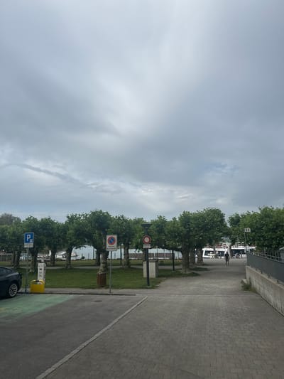 The image depicts a cloudy day scene along the waterfront in Kreuzlingen, Switzerland. In the foreground, a dark-colored electric vehicle is parked and connected to a charging station. The charging station is white and yellow, and the area around it is marked with green paint. Adjacent to the charging area, a paved walkway constructed of interlocking grey bricks leads into the distance.

To the left of the walkway, a row of well-maintained green trees lines a grassy area. Behind the trees, a body of water, likely Lake Constance, is visible, with several boats moored. Several signs are positioned along the tree line. One is a blue parking sign with a white "P". Another is a circular red and white sign with a diagonal red bar across it, indicating no parking or stopping, and below it is text that reads "Reserviert Neuschwande". Another similar red and white sign is visible further down.

Further into the scene, a person is walking along the paved path. In the background, more trees and buildings are visible, as well as larger boats on the water. A metal railing runs along the right side of the walkway, bordering a concrete retaining wall. The sky is overcast with gray clouds, suggesting potentially inclement weather.