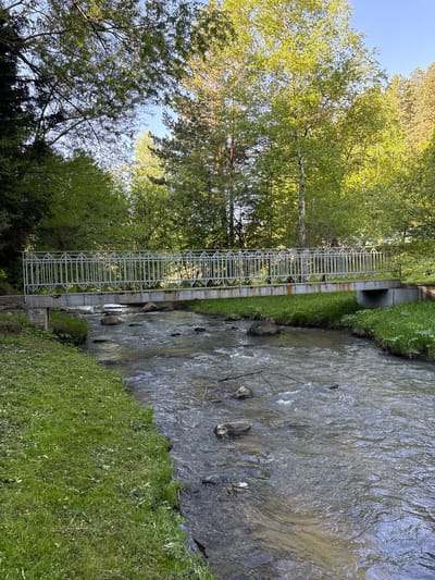 The image shows a stream flowing through a wooded area in Belokurikha, Russia. A metal pedestrian bridge spans the stream. Lush green trees line the left bank, and grass covers the right bank. The water is flowing and contains rocks. A concrete culvert is visible under the right bank, just beyond the bridge. The sky is visible through the trees.