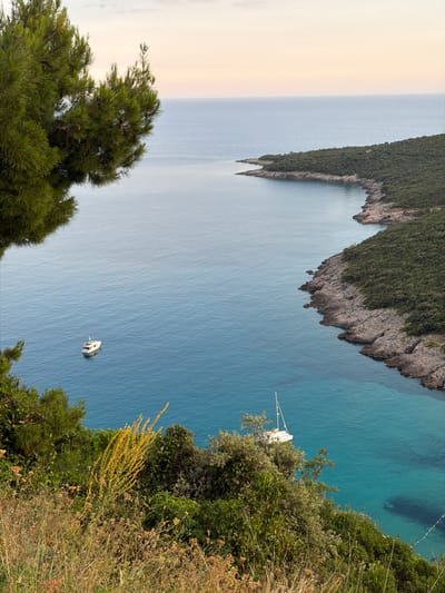 The image depicts a scenic view of a bay in Višnjevo, Montenegro. In the foreground, lush green foliage and dry grasses dominate, with a tall stalk of yellow flowers adding a splash of color. The middle ground features the azure waters of the sea, dotted with two boats. A white motor yacht is anchored in the calm water, and a white sailboat is visible further out. The background reveals a verdant, tree-covered coastline with rocky outcrops, meeting the tranquil sea under a soft, pale sky. The overall impression is one of a serene coastal landscape.