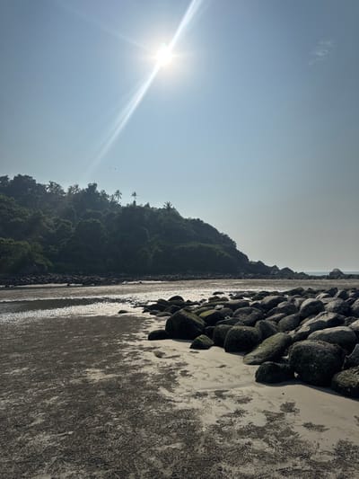 A coastal landscape shows a vibrant sun radiating in a clear sky. Lush, dense trees cover a hillside, contrasting with the rugged shoreline along a wet beach. A line of large, dark rocks separates the greenery from the sandy expanse. The tide has receded, revealing wet sand, while the overall scene evokes a bright, natural setting.