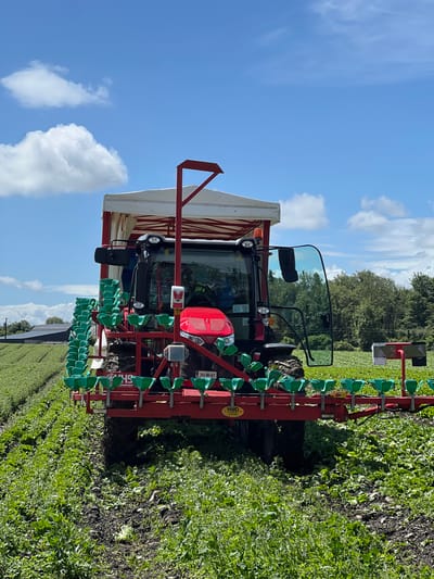 A red tractor with a white canopy is in a field of green crops under a blue sky with scattered white clouds. The tractor is equipped with a red apparatus holding numerous green planting cups. The field is tilled and appears to be ready for or in the process of planting. In the background, there are trees and a large barn-like structure. A license plate on the tractor reads "242-WH-417". The location is identified as Pike Corner, Ireland.