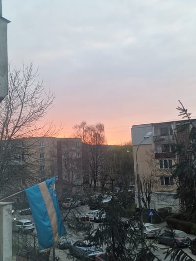 The image displays an urban residential scene within the city of Odorheiu Secuiesc, Romania, at either dawn or dusk under an overcast sky. The upper two-thirds of the frame are dominated by the sky, which transitions from a light grey-blue at the zenith to a gradient of pale pink and orange hues along the horizon, indicating a low sun position.
In the midground, a series of multi-story apartment buildings, typically constructed from concrete or stucco, are visible. These structures feature multiple windows and balconies. Numerous deciduous trees, currently bare of foliage, are interspersed among the buildings, their skeletal branches prominent against the colorful sky. Evergreen trees, likely conifers, are present in the foreground on the right and extending into the midground.
Below the apartment buildings, an asphalt street is lined with numerous parked passenger vehicles, including various models of sedans and hatchbacks. Several vehicles display Romanian license plates. A street light pole with a modern luminaire stands in the midground, and a blue square pedestrian crossing sign with a white walking figure is visible near the roadway.
In the immediate foreground on the left, a segment of a light-colored concrete building structure is present. Attached to this structure, a Székely flag hangs vertically; it features a blue field with a central golden stripe, an eight-pointed golden star, and a silver crescent moon. No individuals are present, and no activities or interactions are observed within the static environment.