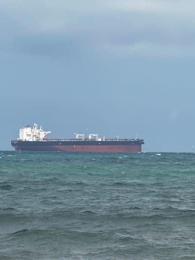 A cargo ship is at sea under a cloudy sky. The ship is red and black and has a white superstructure. The sea is choppy with green waves. There are a few birds in the sky near the ship. The scene is consistent with the coast of Chernomorets, Bulgaria.
