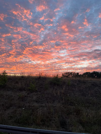 A cloudy sky with pink and orange hues is visible above a grassy embankment at dusk. The embankment is covered with dry grass and some green bushes. In the distance, trees form a dark silhouette against the colorful sky. A metal guardrail is visible in the foreground. The image appears to have been taken from a roadside, possibly in Theilheim, Germany.