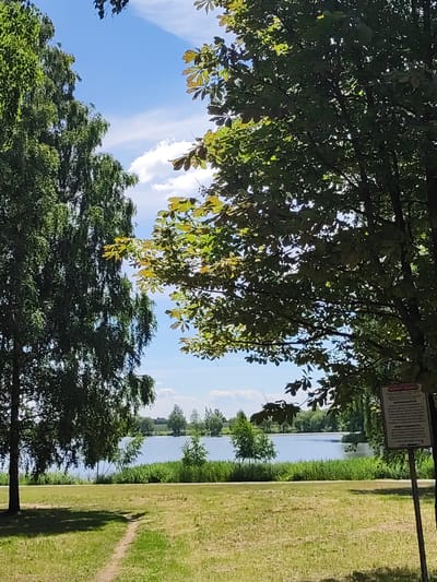 The image depicts a serene natural scene on a sunny day, likely in the afternoon. The foreground is dominated by a grassy field with a worn dirt path leading towards a calm body of water. On the left, a tall, dense tree with dark green foliage stands prominently, while on the right, the branches of another tree, possibly a chestnut tree, with lighter green leaves are visible, casting shadows on the grass.
In the middle ground, a tranquil lake stretches across the frame, bordered by lush green reeds and a line of trees in the distance. The sky is a vibrant blue, with scattered fluffy white clouds that suggest fair weather. The overall atmosphere is peaceful and inviting, evoking a sense of calm and natural beauty.
A signpost is visible on the right side of the image, near the edge of the trees. It appears to be a public information board, possibly containing regulations or information about the location. The text on the sign is in Cyrillic script and includes the heading "ПАСПОРТ ОБ'ЄКТА" (Passport of the Object). Below this, there are lines of text that seem to list prohibitions, indicated by the word "ЗАПРЕЩАЕТСЯ" (It is forbidden). While the full text is difficult to read clearly, it suggests rules or guidelines for visitors to the area.
The location is identified as Квасоўскі сельскі Савет, Belarus. The scene conveys a typical summer day in a rural or park-like setting, suitable for relaxation and enjoying nature. There are no people visible in the image.