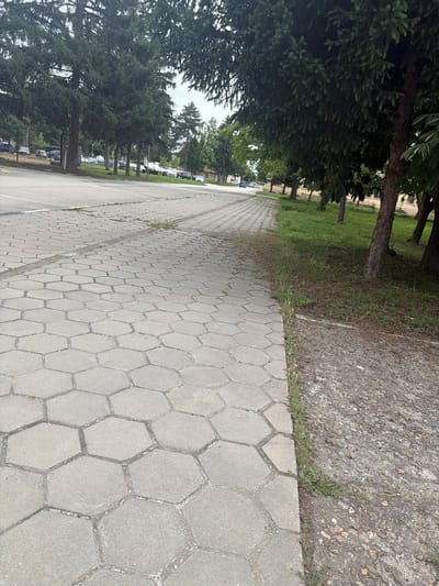 The image shows a pedestrian walkway in Dolna Mitropolia, Bulgaria. The walkway is paved with interlocking hexagonal concrete pavers. A row of mature evergreen trees lines the left side of the walkway, casting shadows on the path. To the right of the walkway is an area of rougher pavement and some grass. A line of parked cars is visible in the distance on the left. The scene is outdoors, and the lighting suggests it is daytime.