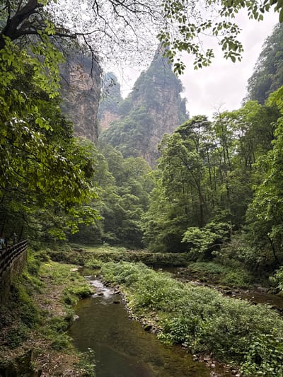 The image depicts a lush, green landscape with a river flowing through a valley. The scene is dominated by dense foliage, including trees and shrubs, with rocky cliffs visible in the background. The sky is overcast. The image is rotated counter-clockwise. A small wooden fence runs alongside the river, suggesting a path or walkway. The location is presumably in Luoguta, China, given the prompt's specification.