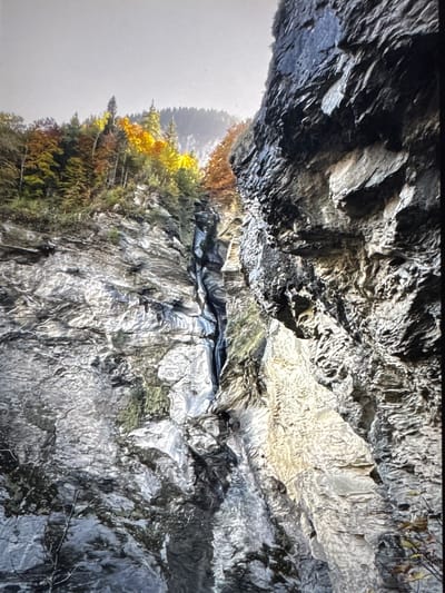 The image depicts a dramatic natural scene within the city of Porrentruy, Switzerland. Dominating the right side of the frame is a sheer, dark, and rugged rock face, characterized by its deep fissures and textured surface. To the left, the rock continues but appears lighter in color and more weathered, with layers of stone exposed. A narrow waterfall is visible cascading down the central rock formation, disappearing into the shadowy depths below. Above and to the left of the waterfall, a dense forest is seen, with trees displaying the vibrant colors of autumn foliage, including shades of yellow, orange, and red, set against a pale, overcast sky. The overall impression is one of a wild and untamed natural landscape within an urban or semi-urban environment.