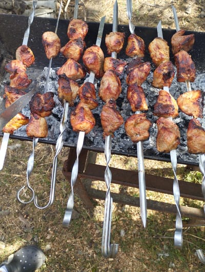 In a close-up shot of a barbecue in Vasylivka, Ukraine, an assortment of grilled meat skewers are arranged over hot coals. The meat, cut into bite-sized pieces, is skewered onto metal rods with twisted handles. The meat exhibits a rich, browned exterior with some charring, indicating it's well-cooked. The background shows a black metal grill with gray ashes and glowing coals underneath.

The scene suggests an outdoor gathering or a meal being prepared. The ground around the grill is covered with dry grass and fallen leaves, hinting at a rural or natural setting. The lighting indicates it's daytime, likely sunny, given the bright highlights on the metal skewers. There are no people visible in the frame, but the presence of the barbecue and the food implies human activity.

The skewers themselves are made of metal and vary in design, some with simple pointed ends and others with more elaborate twisted handles and loops. A small portion of a metal spatula or tongs is visible on the left side of the image, suggesting someone is actively tending to the barbecue. The overall impression is one of a casual, possibly traditional, outdoor cooking event.