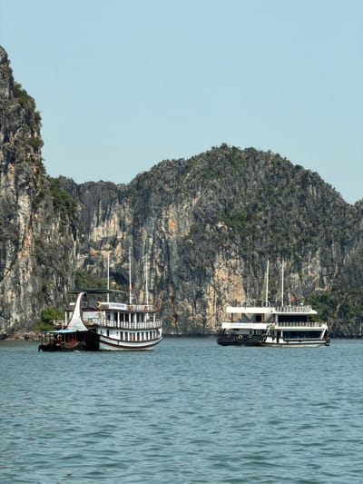 The image displays a picturesque scene of two cruise boats navigating a calm bay, flanked by majestic limestone karsts, under a clear, bright sky. The photograph is taken during the daytime, with ample natural light illuminating the landscape.

In the foreground, a multi-decked cruise ship, predominantly white with dark hull accents, glides across the water. It features several levels with visible railings and windows, and text on its side clearly reads "HALONG FREEDOM CRUISE". Two tall, slender masts or poles rise from its deck.

Further in the midground, another similar cruise vessel is visible, partially silhouetted against the karsts. This boat is also white, multi-tiered, and has "HERITAGE LUXURY CRUISE" inscribed on its side. Both boats appear to be luxury or tour operators.

The background is dominated by towering, rugged limestone karsts, typical of a dramatic coastal landscape. These islands are covered with patches of lush green vegetation clinging to their steep, grey and tan rock faces. The water in the bay is a tranquil greenish-blue, showing subtle ripples on its surface, indicating calm conditions. The sky is a uniform, pale blue, suggesting fair and clear weather. The scene captures a serene moment of cruising amidst the natural beauty of Tuan Chau Ward, Vietnam.