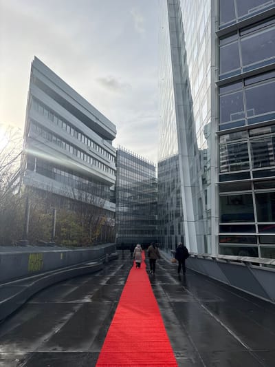 The image depicts an urban outdoor scene in Issy-les-Moulineaux, France, under an overcast sky with sunlight visible on the left, causing lens flare. The primary visual element is a long, bright red carpet laid centrally on a dark, wet, and reflective paved walkway, extending from the foreground into the mid-ground.

On the left, a multi-story building with a light grey, angular, and stepped facade, featuring horizontal window bands, rises prominently. Below it, a low, dark grey concrete barrier with faint graffiti separates the walkway from an area of bare-branched trees and shrubs. Further back, a dark glass-fronted building is partially visible. On the right, a tall, multi-story skyscraper with a curved, reflective glass facade and dark-tinted windows dominates the frame vertically.

Four individuals, dressed in dark winter coats, are observed walking away from the camera along the red carpet and the adjacent wet pavement. Two individuals are directly on the red carpet, one in a lighter-colored coat further back, and one in a dark coat closer. Another person in a dark coat, possibly carrying a bag, walks to the right of the carpet, and a fourth person in a dark coat is to the left. A metal railing runs along the right edge of the walkway. The ground surface appears uniformly dark and wet, reflecting the surrounding structures.