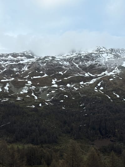 This vertical landscape photograph captures a majestic, rugged mountain in a cold, cloudy environment, consistent with the Alps near Poschiavo, Switzerland. The left side of the frame is dominated by a light blue to grey sky, partially covered by soft, white clouds that gently obscure the uppermost reaches of the peaks.

The main subject is the dark, formidable mountain face that occupies the right side and central portion of the image. Its steep, rocky terrain is speckled with numerous irregular patches of white snow and ice, creating a striking contrast against the dark rock. These snow patches highlight the contours and crevasses of the mountain, suggesting a recent snowfall or persistent snow cover at higher elevations.

Towards the lower right of the image, the mountain's character shifts to densely forested slopes. These areas are covered in dark green, almost black evergreen trees, indicating a thick conifer forest. The dark tone of the trees could be due to deep shade, the specific species, or the overcast lighting conditions.

There are no discernible people, animals, or man-made objects within the frame, emphasizing the wild and untouched nature of the scene. No specific activity or event is taking place; it is a static capture of a natural vista. The weather appears to be overcast or partly cloudy, with a diffuse light source. The presence of snow clearly indicates cold temperatures. The overall mood is one of stark beauty, grandeur, and tranquility. No visible text is present in the image.