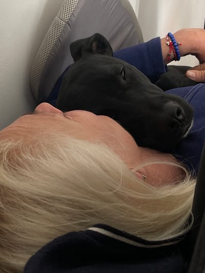 A person with fair skin and white hair is resting their head against a small black dog. The dog's head is nestled against the person's face. The person is wearing a blue long-sleeved shirt, and two bracelets are visible on their left wrist: one with blue beads and another with a red string and small silver charms. The dog is lying on a gray mesh-covered cushion. A dark blue garment with white stripes is visible near the top right of the frame. The location, Paiporta, Spain, is not discernible from the image.
