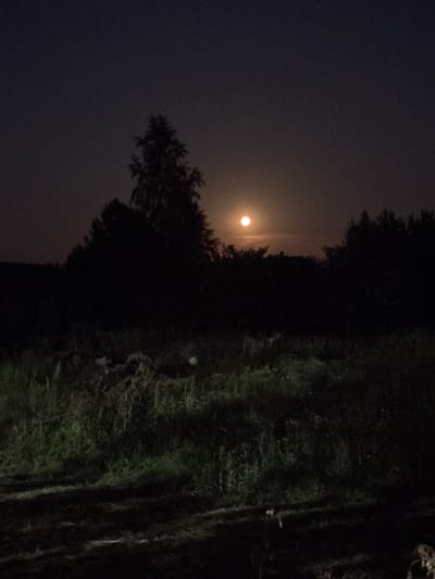 The image depicts a nighttime rural scene near Радваніцкі сельскі Савет, Belarus. A bright, reddish-orange full moon is visible in the upper center of the frame, partially obscured by silhouetted trees. The foreground shows a dark, unpaved path or road, with tall grass and vegetation flanking it. Some of this vegetation is illuminated by an external light source, creating a greenish glow. The background consists of dense, dark silhouettes of trees and possibly some low-lying buildings, all against a dark sky. The overall atmosphere is serene and dimly lit.