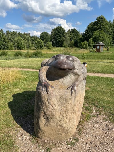 The image depicts a stone sculpture of a frog sitting on a large rock in a grassy outdoor area. The frog sculpture is in the foreground, dominating the center of the frame. It appears to be carved from a rough, textured stone. The frog's body is substantial, with its front legs resting on the rock. Its head is raised, and its eyes are visible. Behind the sculpture, there is a path made of gravel and a large expanse of green grass. In the mid-ground, a line of trees forms a dense forest, and a small wooden structure, possibly a shed or information booth, is visible on the right side of the frame. The sky above is blue with scattered white clouds, suggesting a sunny day. The overall setting appears to be a park or natural reserve. Based on the provided context, the location is identified as Talkowszczyzna, Poland. There are no people visible in the image.