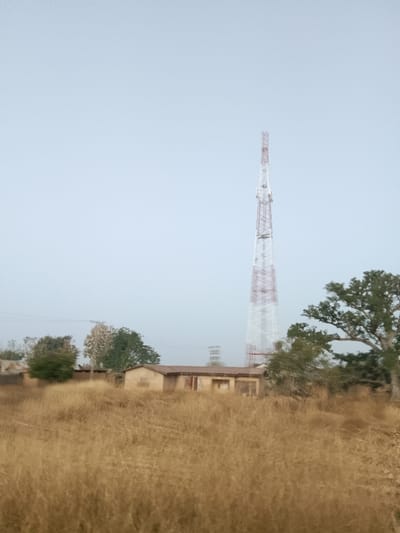The image depicts a rural or semi-rural landscape in Kerang, Nigeria, under an overcast sky. In the foreground, a field of dry, tall, light brown grass occupies the lower third of the frame. The midground features a single-story, light tan building with a darker roof, appearing to be a utility or residential structure, positioned left of center. Windows are visible along its facade. Behind this building and to its left, several trees with green foliage are present. A large, mature tree with spreading branches and green leaves stands prominently on the far right. Dominating the background is a tall, white and red lattice communication tower equipped with multiple antennae, rising against the pale sky. To the left of the main tower, a smaller, indistinct utility structure is partially visible. No individuals or active subjects are present in the scene.