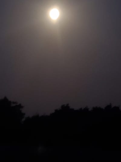 A bright, blurred circular light source, possibly the moon or a strong lamp, dominates the upper portion of the image against a dark, hazy sky. Below this is a silhouetted landscape of trees. The image is dark overall, with the lower section almost entirely blacked out by the tree line. There are no people or discernible structures visible. The scene appears to be an outdoor nighttime shot, likely taken in a natural area or a city park within Konstantinovka, Moldova, given the silhouette of trees against the sky.