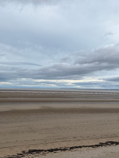 A wide-angle, low-angle shot captures a serene beach scene in Wallasey, United Kingdom. The foreground is dominated by a vast expanse of damp, sandy beach, marked by subtle ripples and a scattering of dark seaweed along the bottom edge. The middle ground reveals the receding tide, creating horizontal bands of wet sand that reflect the overcast sky. A solitary figure, appearing small against the immensity of the landscape, walks on the sand in the middle distance, accompanied by a small dog. Further out, the calm water stretches to the horizon, where it meets a distant shoreline. The sky above is a canvas of heavy, grey clouds, their texture varied and layered, creating a moody and atmospheric backdrop. The overall impression is one of tranquility and natural beauty on a cloudy day.