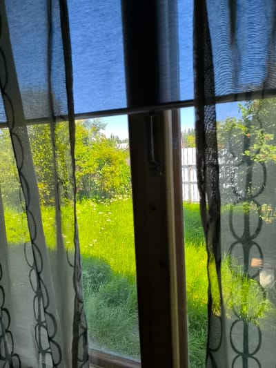The image shows a view through a window, partially obscured by curtains. The window frames a sunlit grassy area with trees and a fence in the background. The curtains are made of fabric with a repeating circular pattern. The overall scene appears to be a residential backyard. It is not possible to determine the exact location within Lesnyye Dali, Russia based on the provided image.
