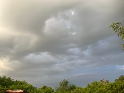 The image depicts a cloudy sky over a dense green treeline. In the lower left corner, a portion of a wooden structure with a corrugated roof is visible. The clouds are predominantly gray and textured, with some areas of lighter brightness suggesting sunlight attempting to break through. A few scattered leaves from a tree branch are visible in the upper right corner. The overall impression is of an outdoor scene, possibly in a rural or suburban setting, under overcast weather conditions.