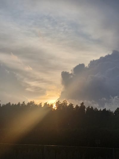 The image depicts a dramatic sunset over a dense forest in Saulgoži, Latvia. The sky is filled with a gradient of light and dark clouds, with the sun's rays piercing through the foliage, creating a striking visual effect. The sun, partially obscured by the trees, casts a warm, golden glow across the scene, highlighting the textured surfaces of the clouds and illuminating a shaft of light that cuts across the dark foreground. The silhouette of the forest is clearly defined against the bright sky, its varied tree heights creating an uneven, jagged horizon. In the foreground, a dark, textured surface, possibly a wall or railing, runs horizontally across the bottom of the frame, adding a sense of depth and grounding the ethereal sky and forest. The overall impression is one of natural beauty and dramatic atmospheric conditions, characteristic of a sunset in a natural landscape.