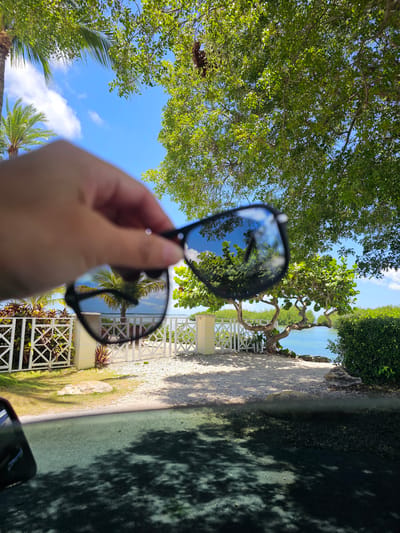 In Islamorada, Florida, USA, a person's hand holds up a pair of sunglasses, obscuring the view of a tropical landscape. The sunglasses reflect a clear blue sky with scattered clouds and the fronds of a palm tree. Beyond the hand and sunglasses, the scene reveals a sunlit area with a white picket fence, lush green foliage, and a tranquil body of water. A uniquely shaped tree with gnarled branches stands near the water's edge. The foreground shows the interior of a vehicle, with the dashboard and a side mirror visible, casting dappled shadows across the surface. The overall impression is of a bright, sunny day in a coastal environment.