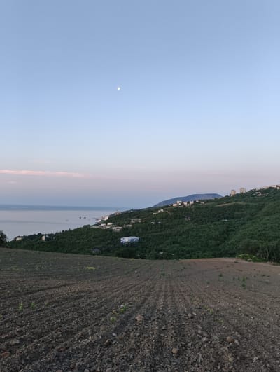 This landscape image captures a tranquil scene at twilight in Lazurnoe, Ukraine, offering a panoramic view from an elevated position.
In the immediate foreground, a freshly tilled field of dark, earthy soil dominates, showing distinct furrows and scattered small rocks. A few sparse green sprouts are visible, suggesting recent planting or early growth. No people or specific objects are discernible in this section.
Moving towards the midground, a lush green hillside blanketed with dense trees extends from left to right. Numerous buildings, predominantly light-colored and varying in size and style, are nestled among the foliage, indicating a residential or resort settlement along the coast. One larger building with a notable blue roof is visible on the lower part of the hillside.
Beyond the hillside, the calm, expansive surface of the Black Sea stretches to the horizon. Several small boats or ships can be seen gently floating on the water near the coastline. In the distance, a subtle mountain range or large hill rises from the land, partially obscured by atmospheric haze.
The sky is a prominent feature, displaying a soft gradient of colors characteristic of dawn or dusk. It transitions from a clear, pale blue at the top to a gentle pinkish-purple hue closer to the horizon, where it meets the sea. High in the sky, a distinct, bright white circle, clearly identifiable as the moon, is visible.
The overall impression is one of peaceful serenity, with the soft lighting and absence of human activity contributing to a quiet, contemplative atmosphere. The weather appears clear and calm, with no significant cloud cover.