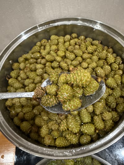 This is a close-up, overhead shot of a metal bowl filled with green, prickly objects that resemble small pinecones or sea urchins. The objects are submerged in a liquid, possibly water or syrup, and appear to be a food item being prepared. A silver spoon is scooping some of these objects out of the bowl, revealing their textured surface in more detail. The lighting suggests an indoor setting. The context provided indicates this is in Ulan-Ude, Russia. The scene appears to be focused on food preparation or preservation.