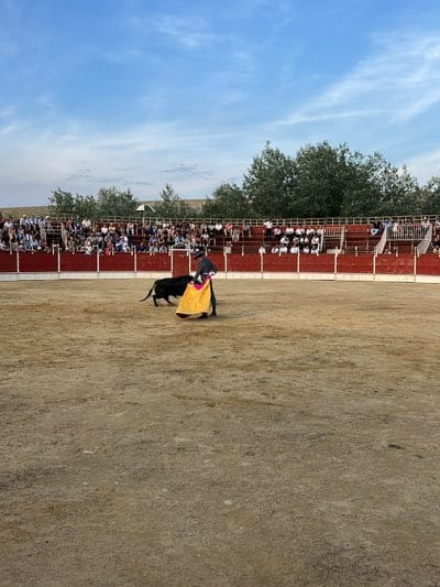 The image captures a bullfighting scene within a bullring setting. The bullring features red-painted barrier walls enclosing a sandy arena. A matador is positioned in the center of the arena, using a yellow and pink cape to engage a black bull. The audience is seated in tiered seating in the background, appearing as a dense assembly of spectators. Beyond the bullring seating area, green trees are visible against a backdrop of a light blue sky with scattered clouds. This event takes place in San José del Valle, Spain.