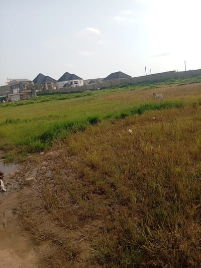 In Karsana 2, Nigeria, an outdoor scene unfolds with a slightly overcast sky. The foreground features a patch of muddy ground with dry, sparse grass. Beyond this, a large expanse of green grass dominates, interspersed with drier, straw-colored patches, particularly in the mid-ground. A lone white goat stands in the middle of this grassy area. In the background, a concrete wall runs horizontally across the image, separating the open field from a line of modern-looking houses with dark, peaked roofs. To the left, construction is visible, with scaffolding around unfinished buildings. The overall impression is of a developing residential area with open, undeveloped land.