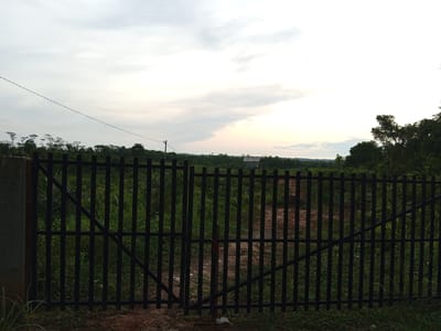The image captures an outdoor rural or semi-rural scene in Kebonbaru, Indonesia, viewed through a closed, dark metal gate. The gate comprises vertical bars with diagonal bracing, secured in the center by a red tie and a small white piece of litter at its base. A concrete post anchors the left side of the gate. Immediately beyond the gate, a reddish-brown dirt path extends into a field of dense, tall green vegetation, possibly crops or wild growth. A small, light-colored, single-story structure with a sloped roof is visible in the distant midground, to the right of the path. The background features a horizon line of dark green trees under an overcast sky, which displays varying shades of grey and white with a brighter glow towards the right. A single dark cable or power line stretches horizontally across the upper left portion of the sky, connecting to a distant pole or structure near the right horizon line. No individuals or specific activities are present.