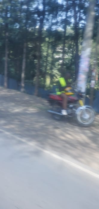 A person wearing a yellow vest is riding a red motorcycle on a road. Trees line one side of the road, casting shadows onto the pavement. The other side of the road is a lighter color, possibly concrete or asphalt. The motorcycle has a chrome front wheel. The image appears to be slightly blurry, possibly due to motion.