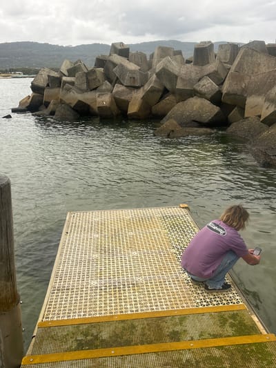 A person wearing a purple shirt and jeans sits on a metal grate platform. They are holding a phone and facing the water. To the left, there is a breakwater made of large, grey concrete blocks. Water fills the space between the breakwater and the platform. Beyond the breakwater, a low mountain range is visible under a cloudy sky. Part of a wooden piling is in the foreground at the bottom.
